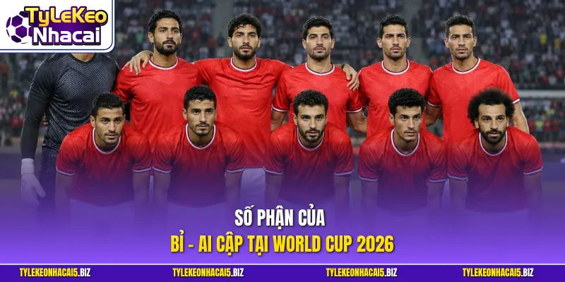 Số phận của Bỉ - Ai Cập tại World Cup 2026
